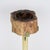 Mid-Century Brass and Petrified Wood Ashtray Vide Poche Side Table, circa 1960 For Sale - Image 10 of 14