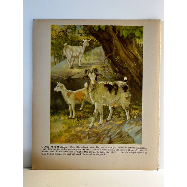 Illustration 1940s Diana Thorne Goat With Kids Illustration Print For Sale - Image 3 of 3