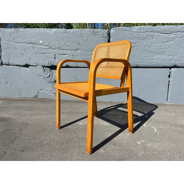 Bentwood and Cane Arm Chair, 1960 For Sale In Miami - Image 6 of 13