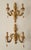 Gold Antique Florentine Wall Lamp in Wood and Hand-Carved Gilded in Gold Leaf with Crystal Pendants, Italy, 1950s For Sale - Image 8 of 18