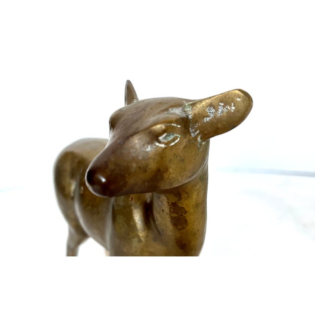 Mid 20th Century Vintage Brass Deer Figurines - Set of 2 For Sale - Image 5 of 11