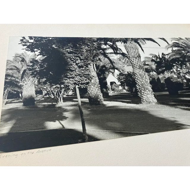 Photorealism Paul Dunckhorst Sierra Camera Club Submission "Evening on the Avenue" Black & White Photograph c.1950 For Sale - Image 3 of 4