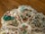 Ceramic Antique Japanese Satsuma Oyster Plates c.1880’s For Sale - Image 7 of 10