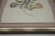 Set of 5 Vintage Pressed Wildflower Art on Hand Deckled Edge Paper For Sale - Image 9 of 11