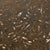 Fossile Nesting Tables, Switzerland, 1970, Set of 3 For Sale - Image 11 of 17