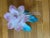 1980s 1980 Lucite Pink Teal Flower Sculpture For Sale - Image 5 of 7