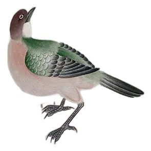 Chinoiserie Floral Panels Hand Painted Wallpapers Murals - 4 Panels For Sale