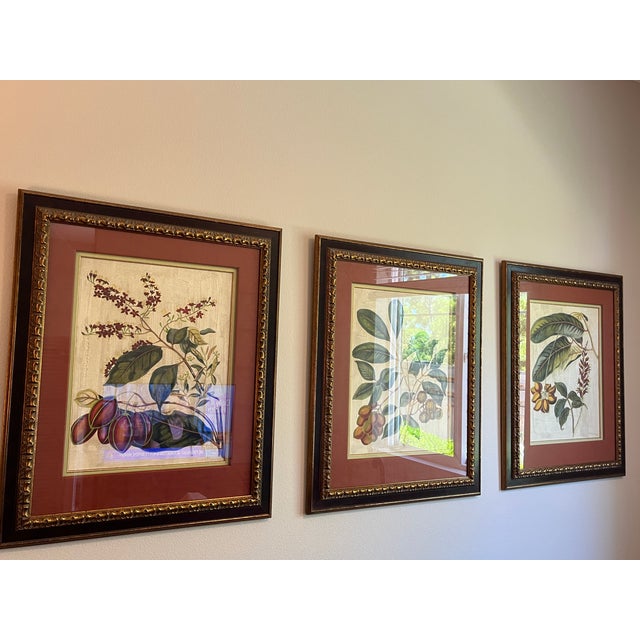 2000 - 2009 Gold & Leather Framed Botanicals "Foliage, Flowers & Fruit" by John Richards- Set of 3 For Sale - Image 5 of 11