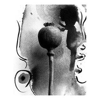 Poppy on Ink - Floral Film Photography in Composition with Ink Abstraction 2023 For Sale