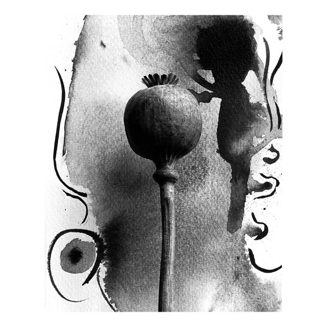 Poppy on Ink - Floral Film Photography in Composition with Ink Abstraction 2023 For Sale