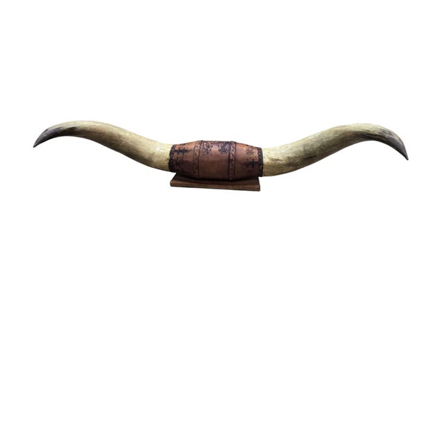 American Antique Western Style Mounted Bull Horns on Wooden Base – Early 1900s Frontier Decor For Sale - Image 3 of 9