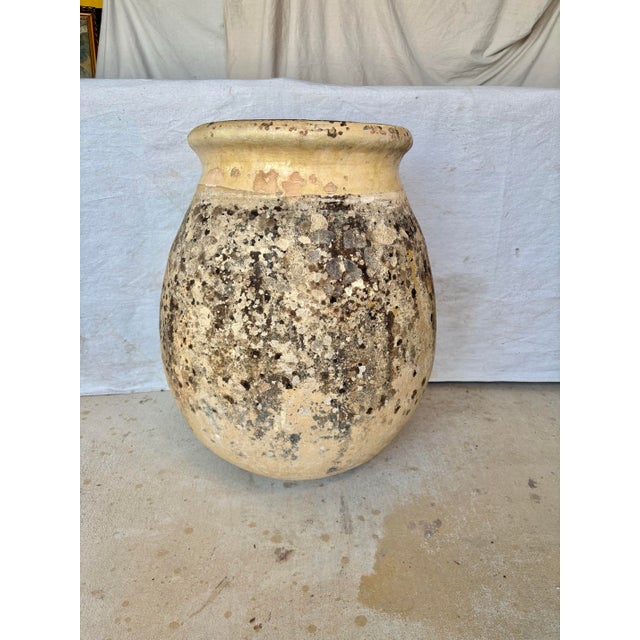 Tan 19th Century French Biot Pot Olive Jar For Sale - Image 8 of 12