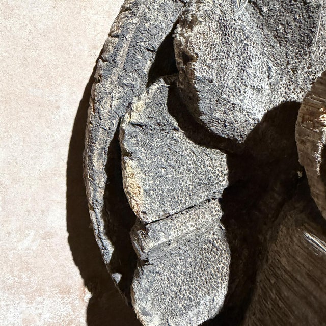 Wood Carved Wood Sculpture of Quetzalcoatl the Aztec God Known as the Feathered Serpent For Sale - Image 7 of 17