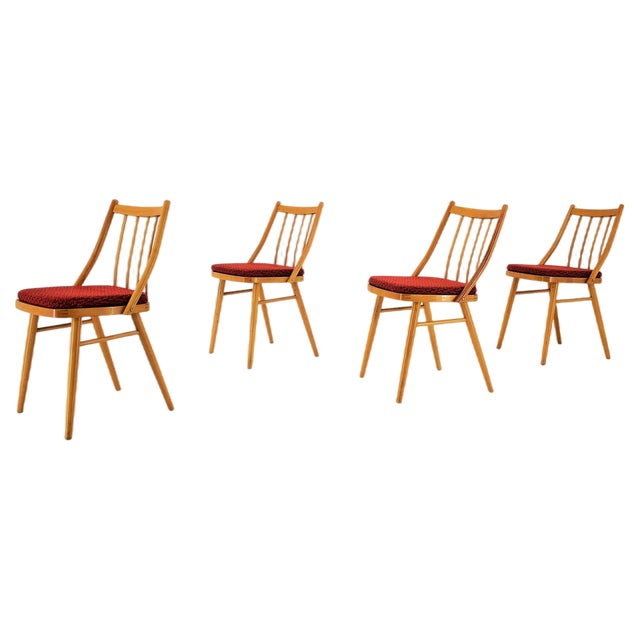 Beech Dining Chairs by Antonin Suman, 1960s, Set of 4 For Sale