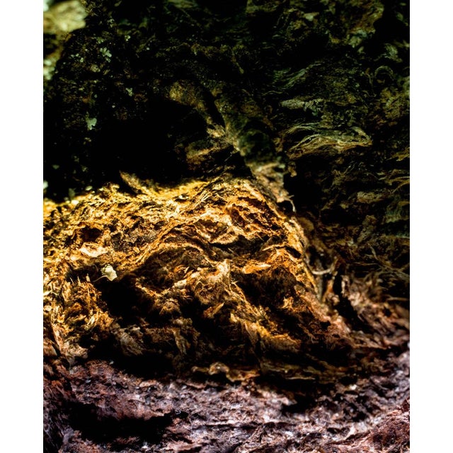 Contemporary Marko Milić, Mythical Beast, Abstract Photography For Sale - Image 3 of 6