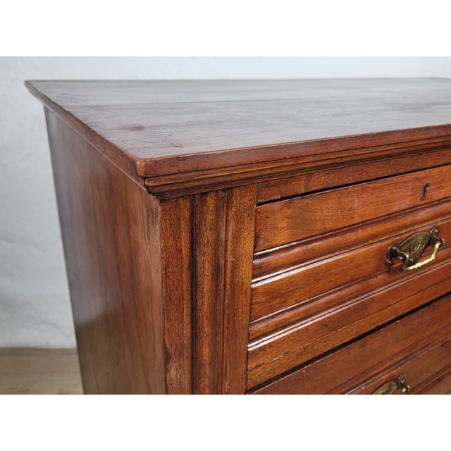Edwardian Chest of Drawers in Walnut, 1910s For Sale - Image 6 of 18