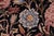 Floral 1990's Pak-Persian Black/Black Wool Rug - 3'0'' X 5'1'' For Sale - Image 4 of 9