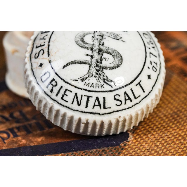 19th Century Neat Victorian Antique Porcelain Pot Lidded Jar Searcy, Tansley and Co.'s Celery Salt Advertising Kitchen Cooking Home Decor For Sale - Image 5 of 9