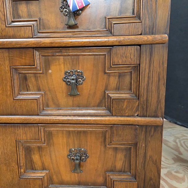 Late 19th Century Golden Oak 5 Drawer Geometric Patterned Chest of Drawers on Bun Feet For Sale - Image 10 of 14