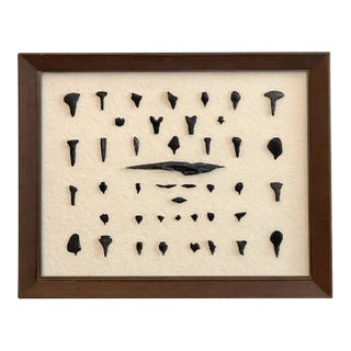Framed Native American Obsidian & Dacite Arrowhead and Tool Collection For Sale
