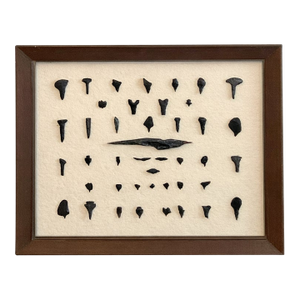 Framed Native American Obsidian & Dacite Arrowhead and Tool Collection