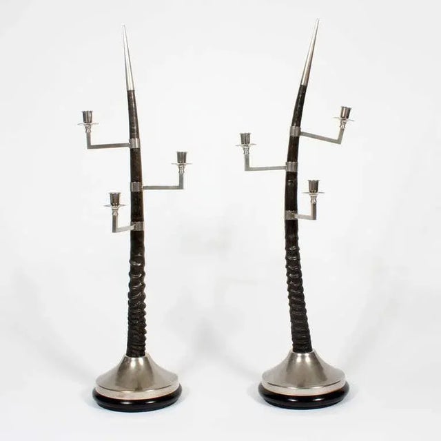A pair of large oryx horn three-arm candelabra, with silvered adjustable arms, tips and bases, all on ebonized turned wood...