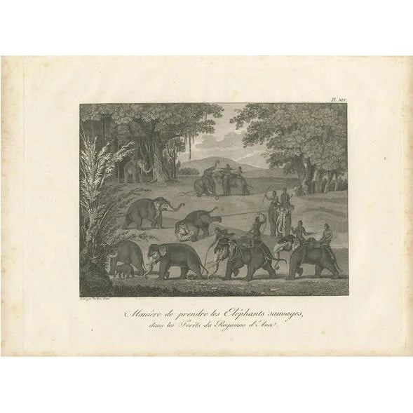 Symes, Elephants in the Kingdom of Ava, 1800, Print For Sale