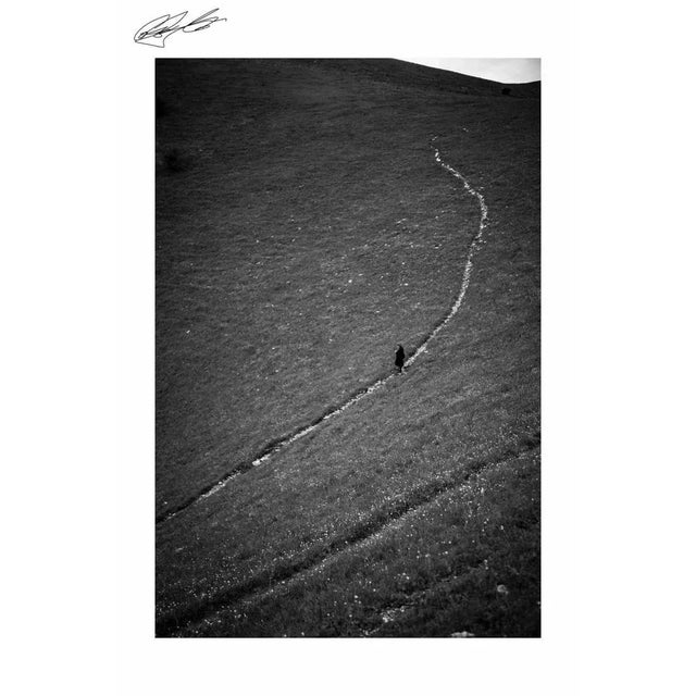 Violinist is one of the best photo realized by the italian artist Carlo Caboni in 2020. Always passionate about landscapes...