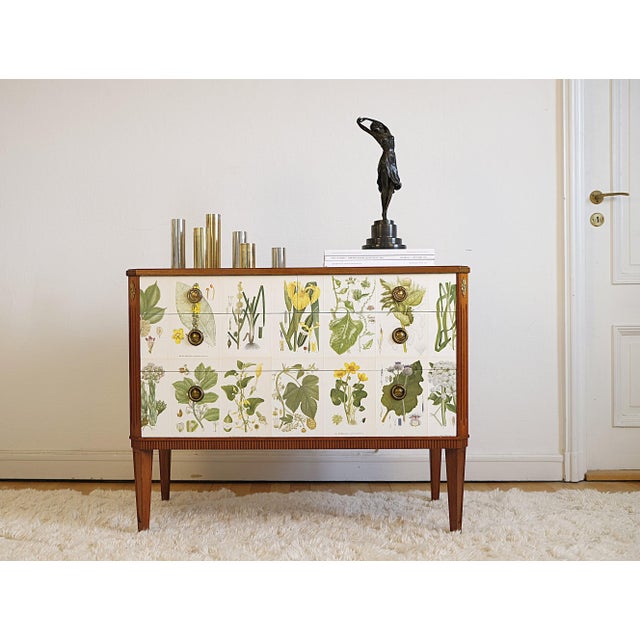 Gustavian Chest attributed to Josef Frank from CAM Lindman Nordens Flora, Sweden, 1940s For Sale - Image 4 of 8