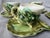 Mid 20th Century Vintage Majolica Style Shell Cup and Saucers Set of 9 Pieces For Sale - Image 5 of 17