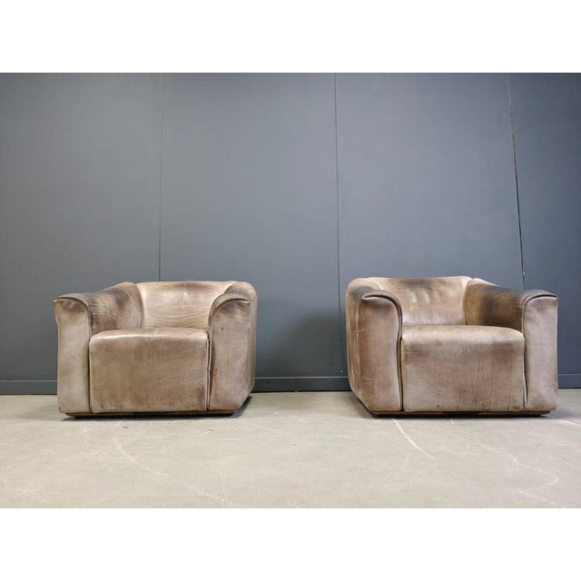 Animal Skin DS47 Armchairs from De Sede, 1970s, Set of 2 For Sale - Image 7 of 13