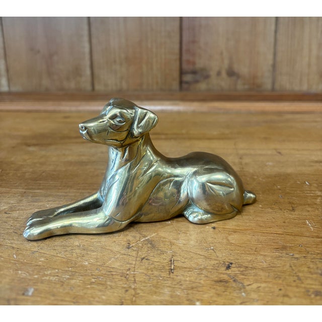There is something wonderfully familiar about the sight of a dog resting comfortably, yet keeping one watchful eye on the...