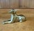 There is something wonderfully familiar about the sight of a dog resting comfortably, yet keeping one watchful eye on the...