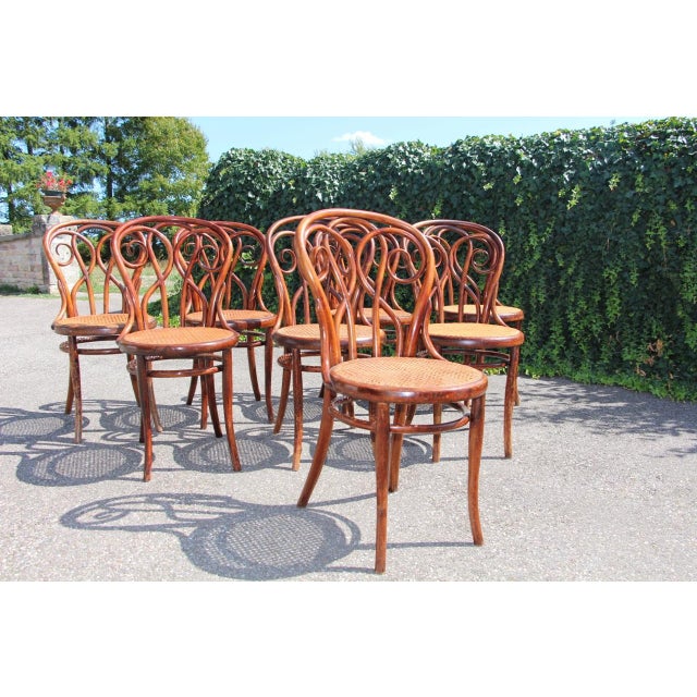 Exceptional set of eight bistro-style chairs in the Thonet style. Stamped "Fiume" or hot-stamped "Chevalier". This model...