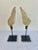 Neoclassical Distressed Neoclassical Wood Carved Wings on Iron Bases, Italy, 1900s For Sale - Image 3 of 8