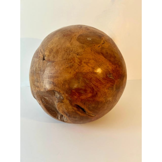 Contemporary Round Hand Carved Wooden Organic Sculpture For Sale - Image 3 of 10
