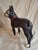 Antique National Foundry Cast Iron Boston Terrier Dog Doorstop Left Facing #149 C. 1920s For Sale In Boston - Image 6 of 18