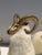 Claude Lalanne 1970s Set of Brass and Fur Mountain Sheep Ram Sculptures - Set of 3 For Sale - Image 4 of 12