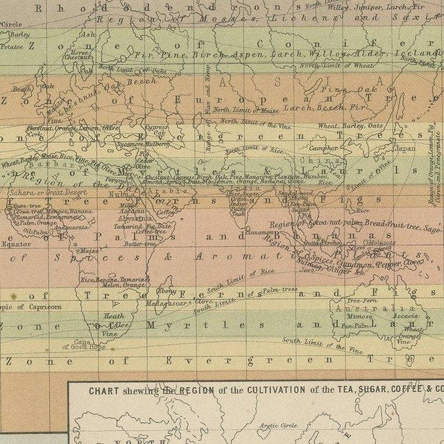 Antique Chart of the World, 1870 For Sale - Image 4 of 12