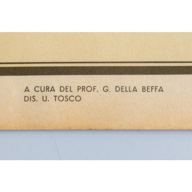 Plastic Educational Poster Depicting Mammals from G.B. Paravia Torino, 1959 For Sale - Image 7 of 8