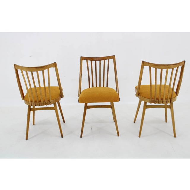 Oak Dining Chairs by Antonin Suman, 1960s, Set of 3 For Sale - Image 6 of 13