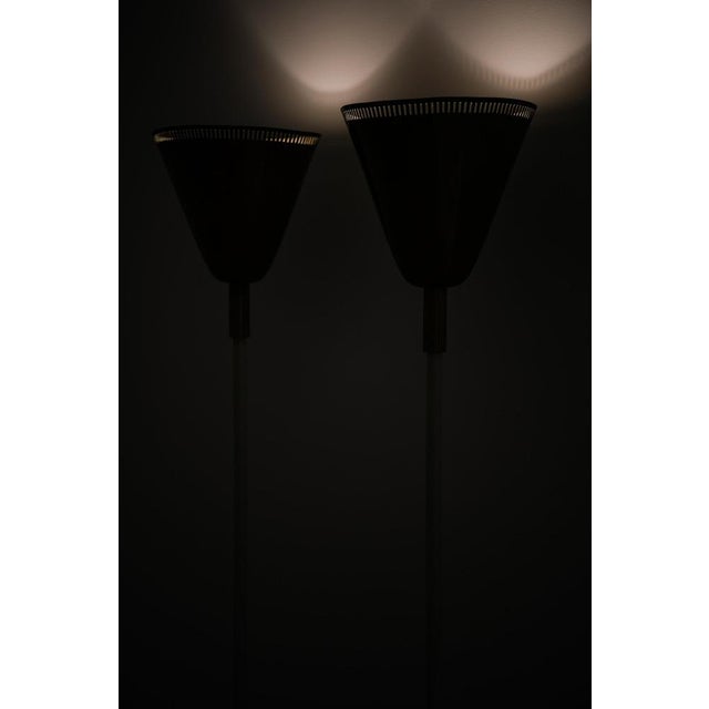 Metal Floor Lamps in Brass and Lacquered Metal, 1950s, Set of 2 For Sale - Image 7 of 10