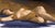 Ecstasy by Diego Glazer | Oil Painting of a reclining nude figure on a dark background For Sale