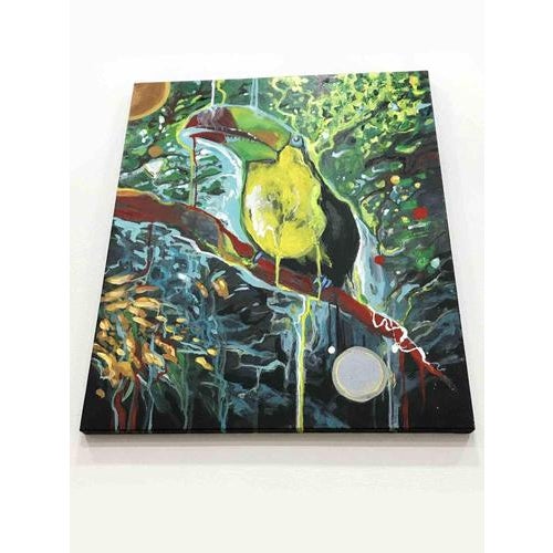 Alessandro Filetti, Toucan, 2013, Acrylic Painting on Canvas, Framed For Sale - Image 4 of 6