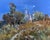 Oil Painting the Moonlight Illuminates Yuriy Suprunchuk For Sale