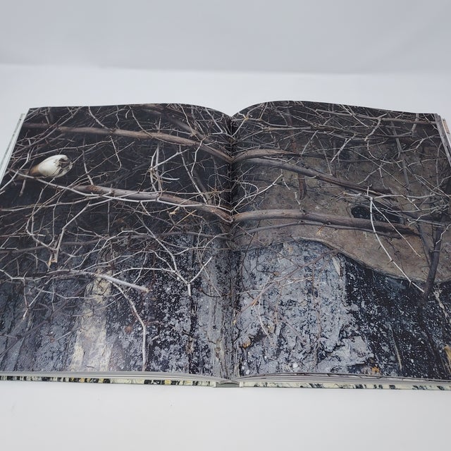 Anselm Kiefer "Next Year in Jerusalem" Exhibited at Gagosian Art Gallery New York 2010 For Sale - Image 12 of 12