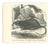 Paul Gervais, Desman, 1854, Lithograph For Sale