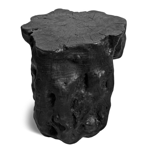 Contemporary Natural Form Black Organic Modern Stump Stool / Side Table For Sale - Image 3 of 5