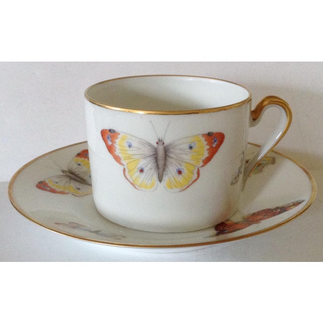 Beautiful Limoges cup and saucer decorated with a variety of moths and butterflies edged in gold.