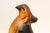 Paint Vintage Hand-Painted Chalkware Bird / Pheasant Wall Sculpture For Sale - Image 7 of 16